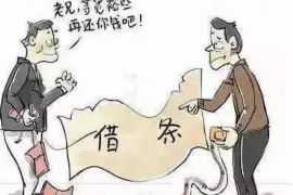 兴宾为什么选择专业追讨公司来处理您的债务纠纷？